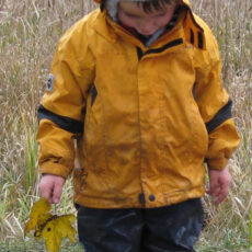 Herbstzauber im Blätterwald