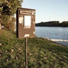 So wohnt Mainz: Leben auf der Rheininsel Rettbergsaue