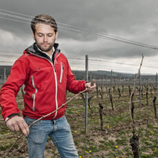 Jung und durstig: Rheinhessens neue Winzer