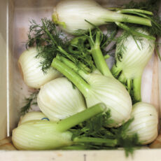 Geschäft des Monats: Novum – das Bio Obst- und Gemüseabo