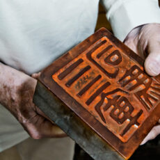 Der Schildkrötenmann