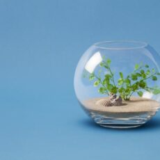 Kirche und Geld: Gottes Lohn