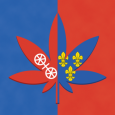 Legales High – Der Cannabis Social Club Mainz / Wiesbaden