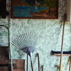 Rasse statt Masse – Mainzer Geflügelzucht als Artenschutz