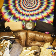 Der Neustadt-Schamane – Thomas Herbold kämpft für gute Energien