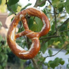 Der große Test: Die besten Mainzer Brezeln!