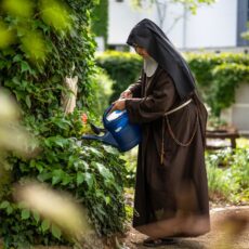 Orte der Stille – Kreuzgänge, Kloster- und Kirchengärten in Mainz
