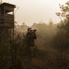 Zwischen Naturschutz, Management und Wildbolognese