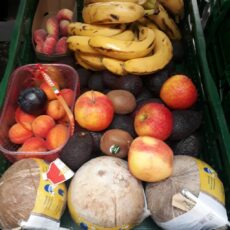 Ein hartes Brot: Lebensmittelverwertung in Mainz