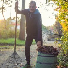 Der Mainzer Guerilla-Gärtner Reinhard Tiemann