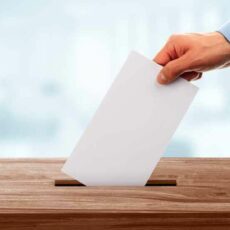 Bundestagswahl 2025: Die Kandidaten im Wahlkreis Mainz